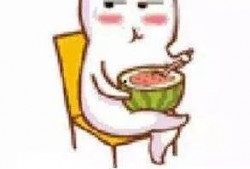 吃瓜群众斗牛视频,一场视觉盛宴的幕后故事