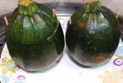 瓜蒸肉加金豆可以吃吗视频,美味与营养的完美融合