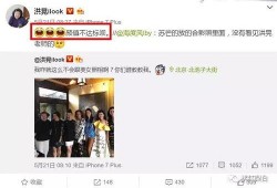 吃瓜人才的视频,视频中的趣味与智慧