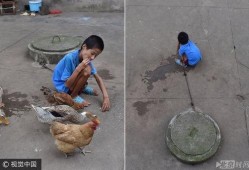 什么瓜不能喂鸡鸭吃呢视频,哪些瓜类不宜喂食鸡鸭，避免健康风险