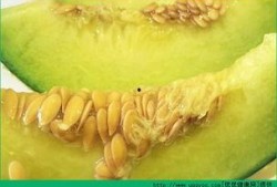 孩子吃哈密瓜视频,哈密瓜美食视频分享