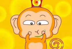 猴王吃瓜素材视频大全,趣味横生的动物搞笑瞬间大盘点