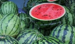 吃瓜刮出绿皮的视频,揭秘吃瓜新潮流