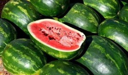 拿西瓜吃瓜视频素材,跟随拿瓜吃瓜视频，解锁夏日清凉新姿势