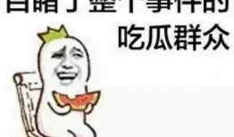 吃瓜群众范娜娜视频,揭秘娱乐圈幕后故事