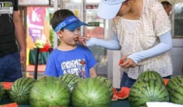 吃瓜有福了视频,揭秘“吃瓜有福了”视频背后的热点与笑料