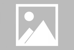 吃瓜群众大熊猫视频,萌态百出，萌翻网友