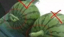 吃瓜神器西瓜刀怎么用视频,轻松开启夏日吃瓜新体验