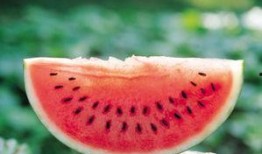 吃猫屎瓜的视频素材图片,奇特美食背后的故事