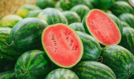 龙丽吃瓜视频什么意思,揭秘网络热传事件背后的真相