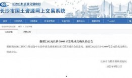 吃瓜房产销售下架视频