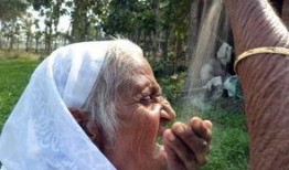 老太吃瓜暴毙图片搞笑视频