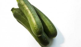 小鱼儿吃角瓜视频大全,萌态百出视频大盘点