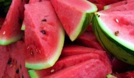 日本人吃中国沙白瓜视频,中国沙白瓜，口感独特，美味诱人！