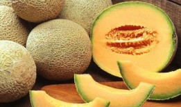 吃哈密瓜文案视频素材,一夏天的味蕾盛宴