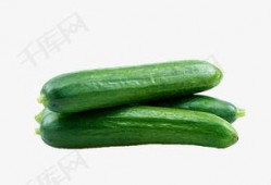 主播吃小瓜蜜瓜视频下载,视频下载见证甜蜜瞬间