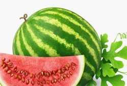 路径窄处吃瓜视频,揭秘“吃瓜群众”的独特视角