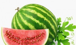 路径窄处吃瓜视频,揭秘“吃瓜群众”的独特视角