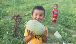 早晨吃瓜视频完整版,揭秘娱乐圈幕后真相，带你领略明星日常