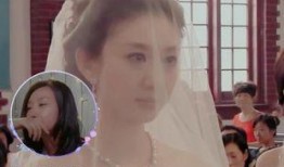 参加婚礼吃瓜视频大全集,趣味瞬间大盘点