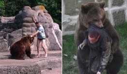 吃瓜熊打架视频大全,吃瓜熊打架视频大全盘点