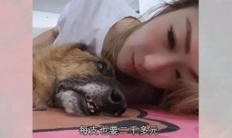 香香公主和爱犬吃瓜视频,香香公主与爱犬共赏吃瓜盛宴