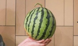 最高温度吃瓜视频,最高温度吃瓜视频带你清凉一夏