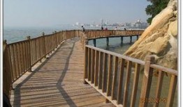 吃瓜小熊爬栈道视频,萌态百出引网友热议