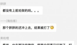 网上吃瓜群众视频,吃瓜群众视角下的真实事件再现