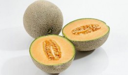 猫怎么吃哈密瓜好吃呢视频,哈密瓜新吃法，猫咪也爱不释口