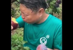 带货翻车现场吃瓜原视频,吃瓜群众直呼“太刺激”！