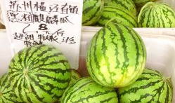 苏州吃瓜的视频,一网打尽本地特色美食瞬间