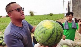 温江吃瓜新闻事件视频最新,一场引发热议的街头冲突事件