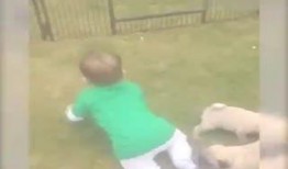 男子吃瓜样子搞笑视频,表情包新素材来袭！