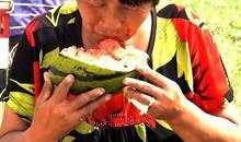 云南老太太吃瓜视频播放,瓜界“老戏骨”