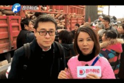 吃瓜群众老姐视频在线观看,揭秘吃瓜群众老姐的在线视频盛宴