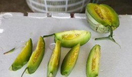 梦中吃瓜视频大全,揭秘梦中吃瓜视频大全的奇幻世界