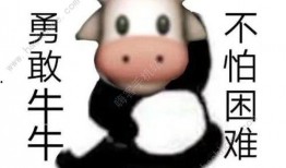 抖音牛牛酱吃瓜视频