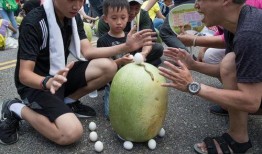 台湾民众吃瓜视频下载,下载热潮席卷岛内