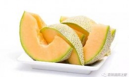 吃哈密瓜文案视频素材,一夏天的味蕾盛宴