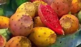 稀奇古怪吃瓜视频大全在线观看,揭秘稀奇古怪吃瓜视频大全