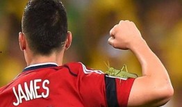 门将吃瓜事件真相视频,真相视频曝光背后的惊人内幕