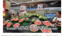 网络上吃瓜的视频是什么,揭秘网络“吃瓜”视频背后的真相与趣味