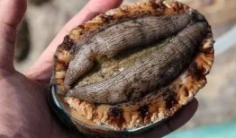 刘大瓜吃田螺螺丝视频在线观看,在线观看尽享美味时光