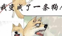 猫和猫吃瓜视频大全下载,猫界吃瓜视频大全精选集