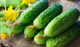 看吃瓜视频有什么危害