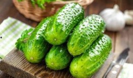 吃瓜最新玩法视频大全,吃瓜达人必看！最新玩法视频大全解析