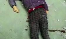 女子吃瓜被棍子砸死视频,悲剧引发社会关注