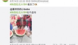 国内高校吃瓜视频,揭秘校园美食背后的那些事