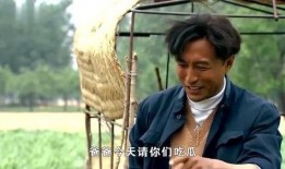 县委书记吃瓜视频大全集,揭秘官场趣闻背后的真相